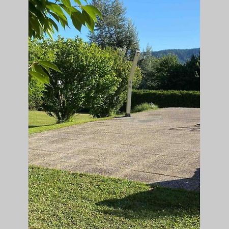 Die Seeblume - Ferienwohnung Mit Pool Und Seeblick Ludwigshafen am Bodensee Kültér fotó